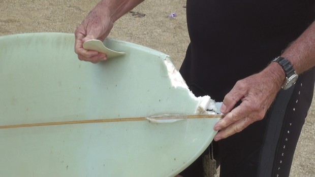 Planche de surf croquée par un requin a Hawaii - attaque de requin sur surfeur
