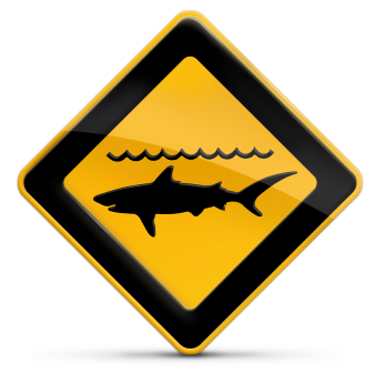 Vidéo insolite: un requin déclenche la panique sur la plage…
