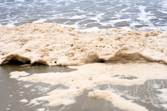 Hydrocarbures, phtalates, détergents: des analyses confirment la pollution chimique du bord de mer