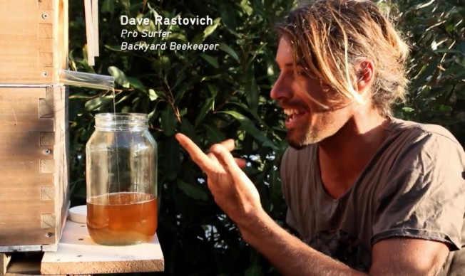 dave rastovich flow hive