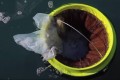 SeaBin : une Poubelle aquatique pour nettoyer l’Océan