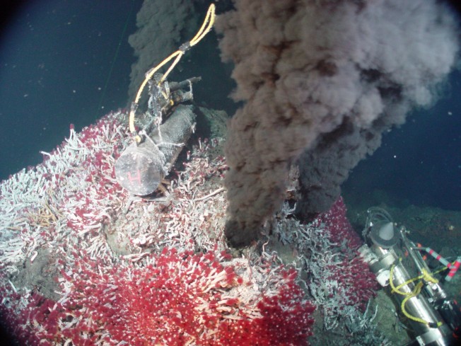 cheminee hydrothermale