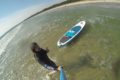 SUP Surf Trip en Suède – Gotland et ses environs